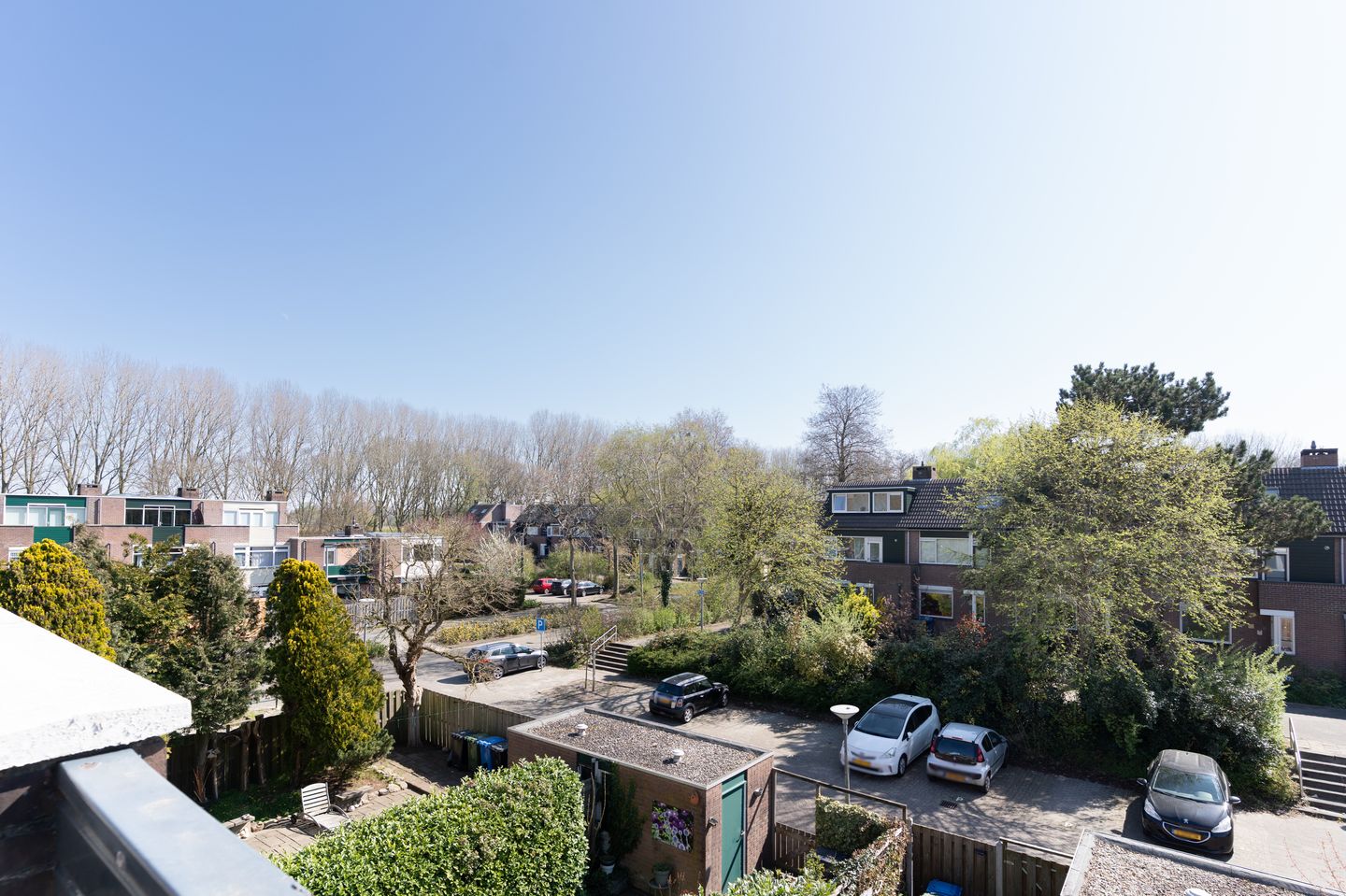 Foto 44 van Karmozijnbes 6