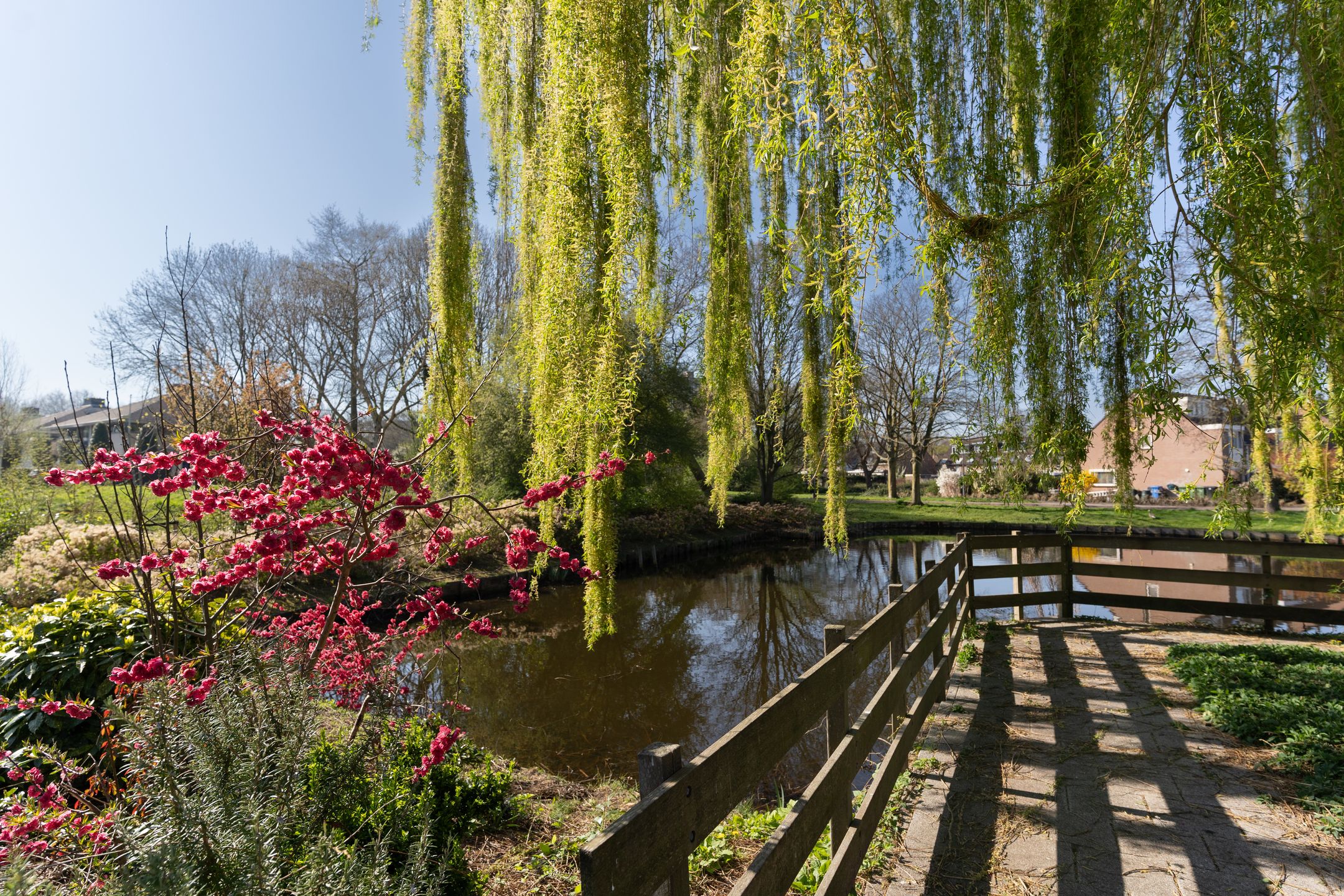 Foto 48 van Karmozijnbes 6