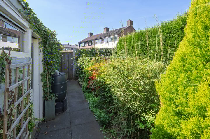 Foto 2 van Vogelplantsoen 69