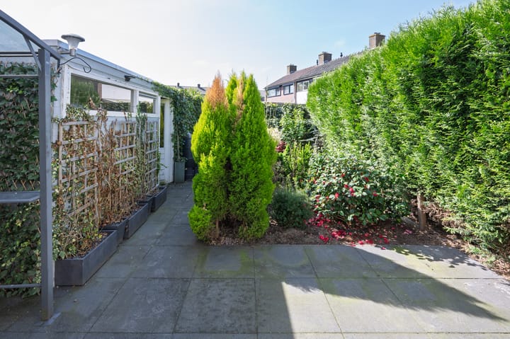 Foto 11 van Vogelplantsoen 69