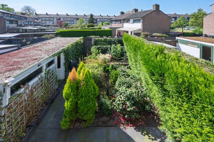 Foto 19 van Vogelplantsoen 69