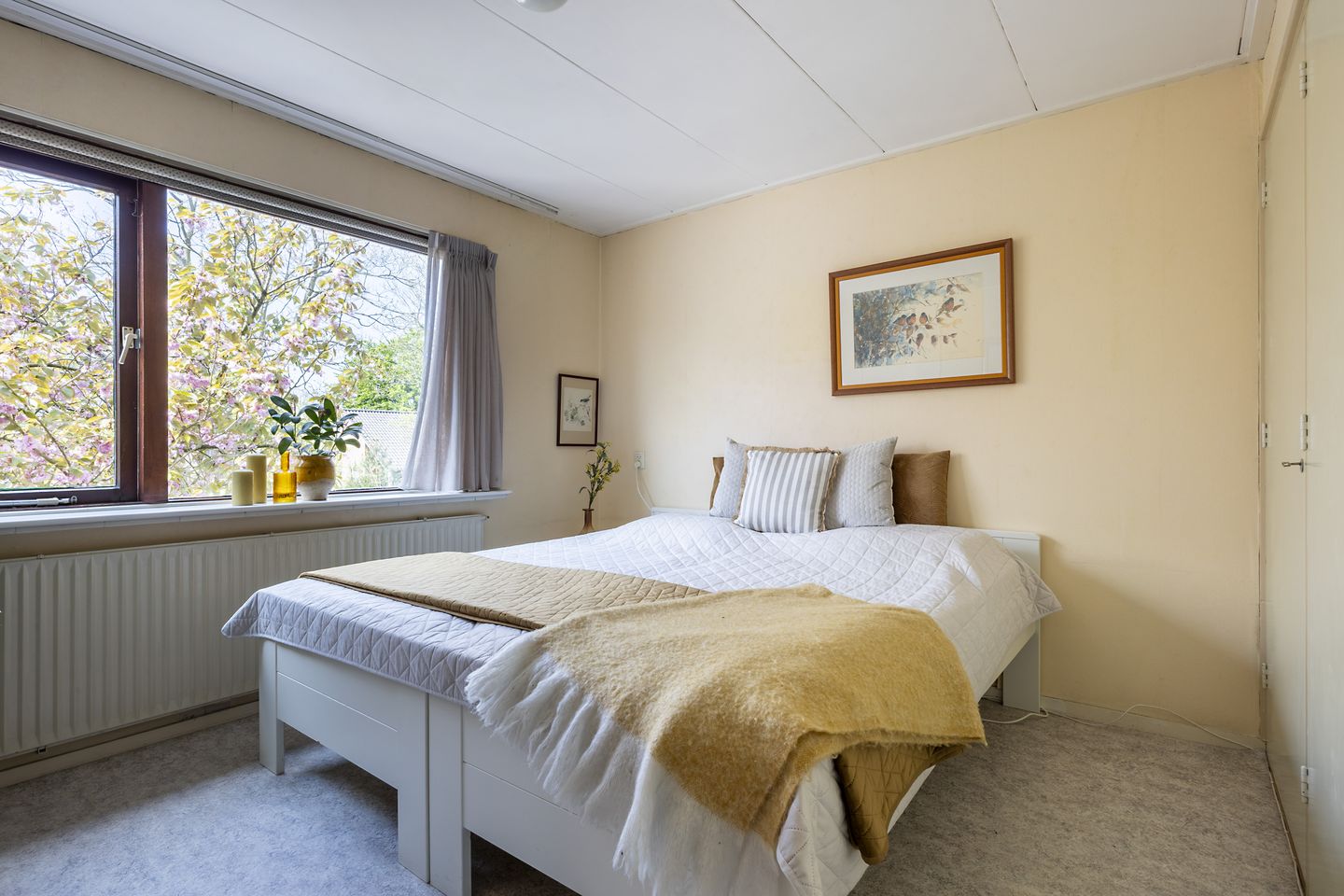 Foto 14 van van der Ploegstraat 84