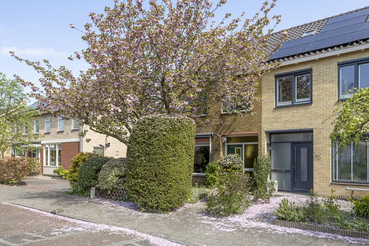 Foto 31 van van der Ploegstraat 84