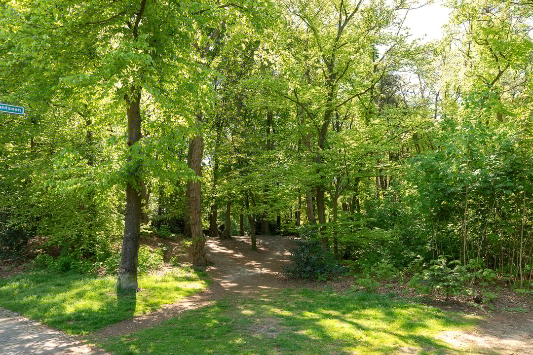 Foto 31 van Heidestraat 41