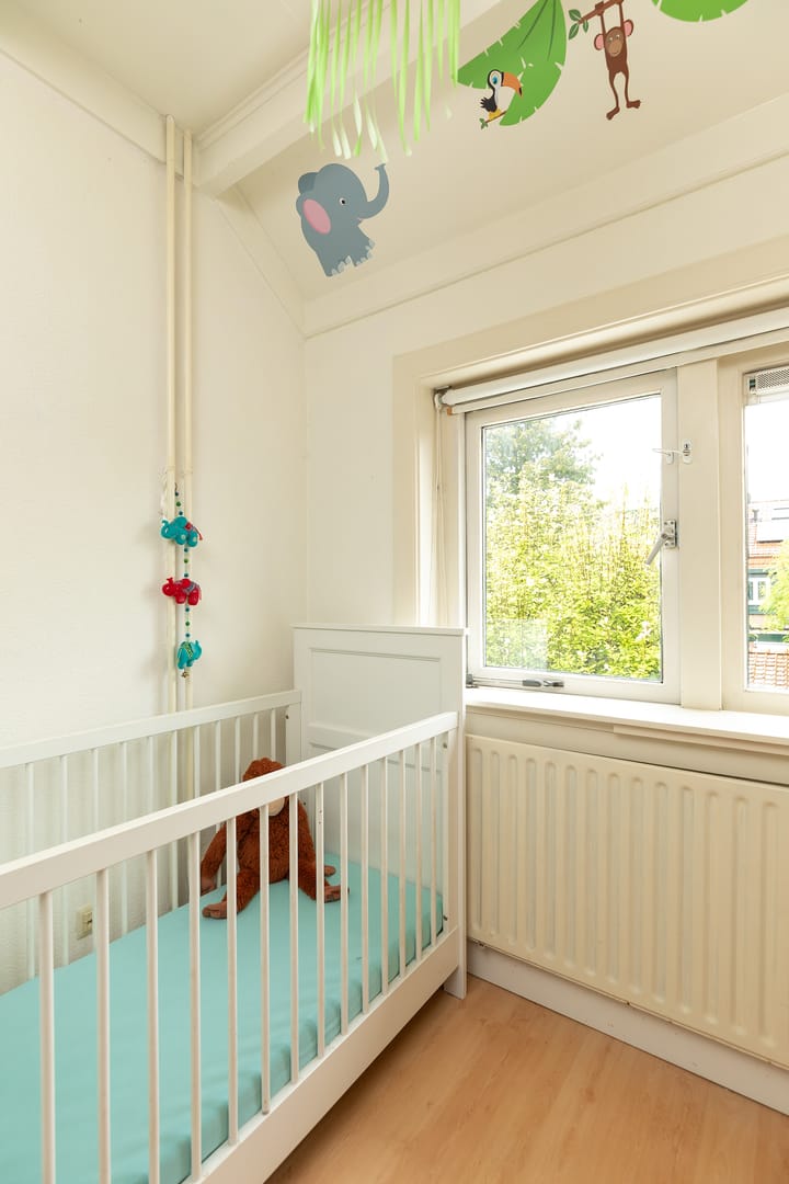 Photo 22 of Professor Kochstraat 21