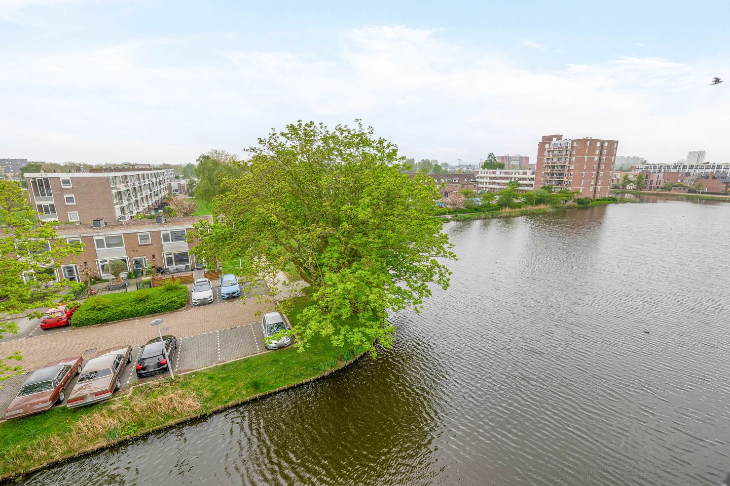 Foto 35 van Lijstersingel 88