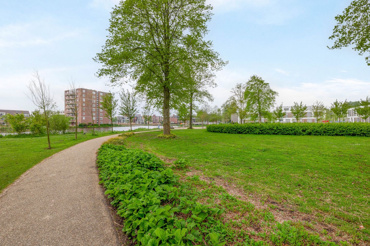 Foto 40 van Lijstersingel 88