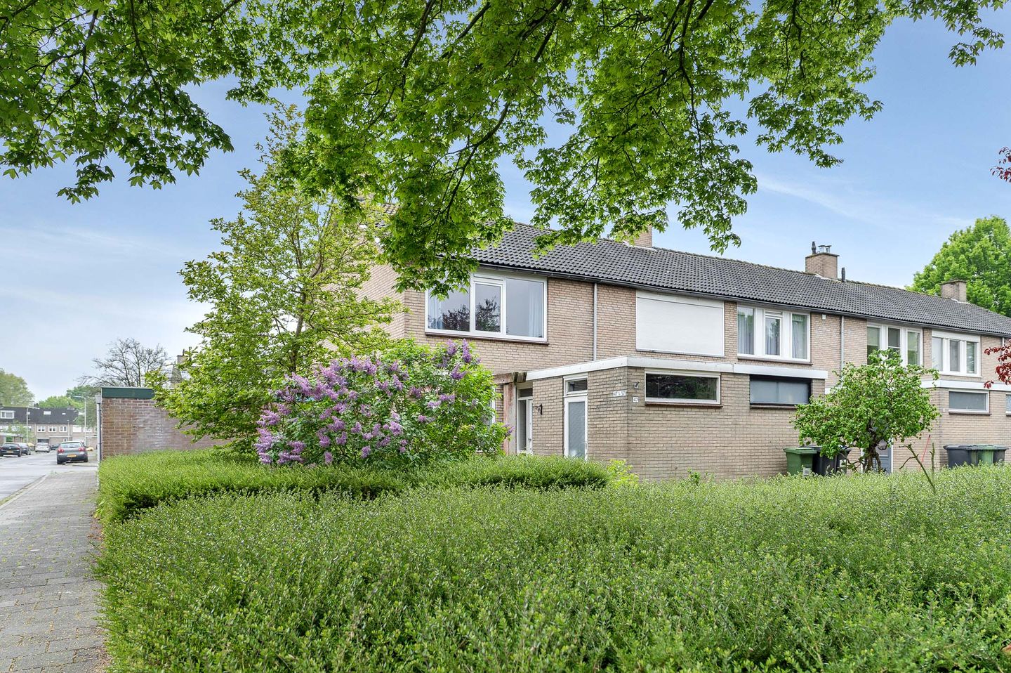 Photo 35 of Susannadonk 47