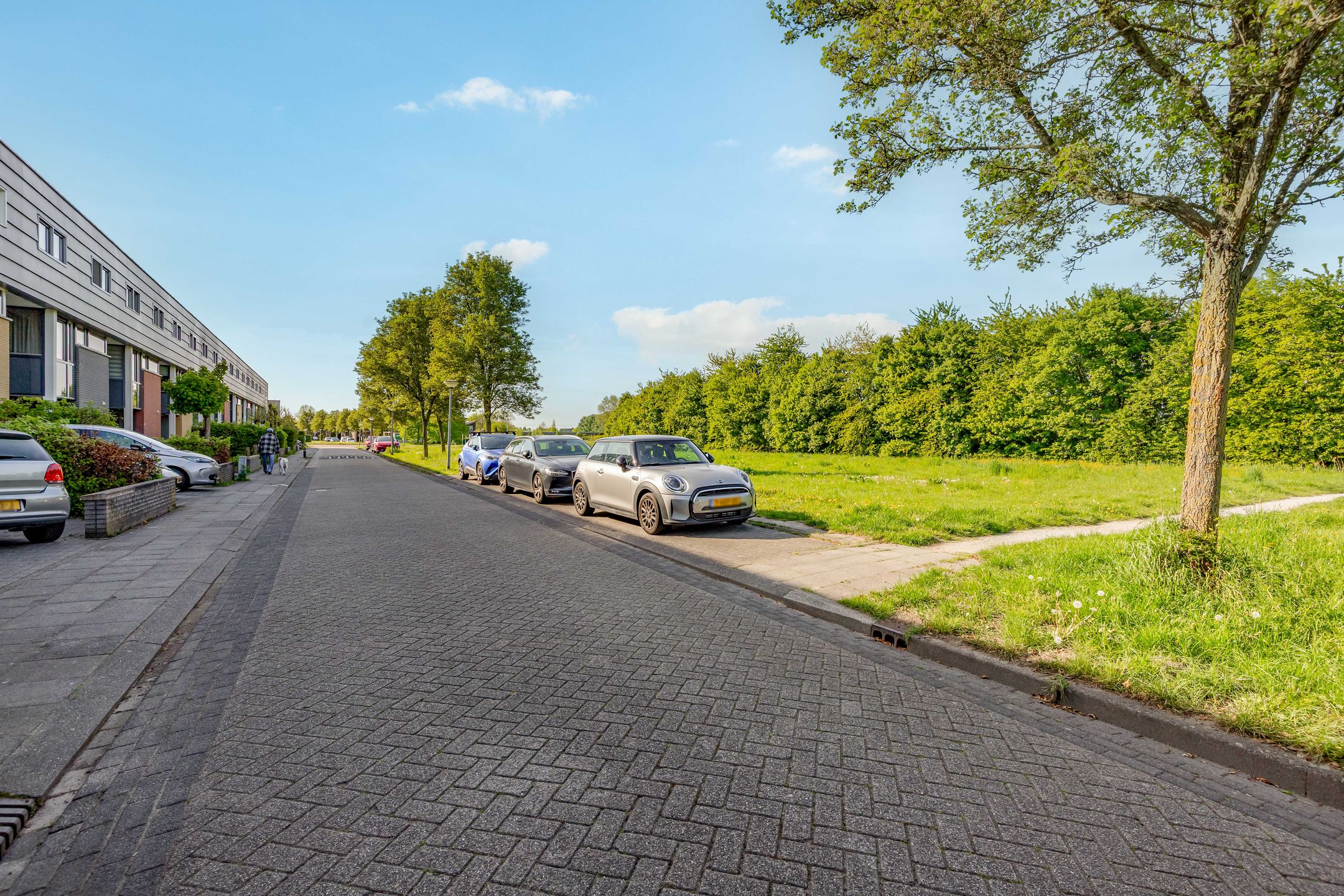 Foto 48 van Carel Willinklaan 24