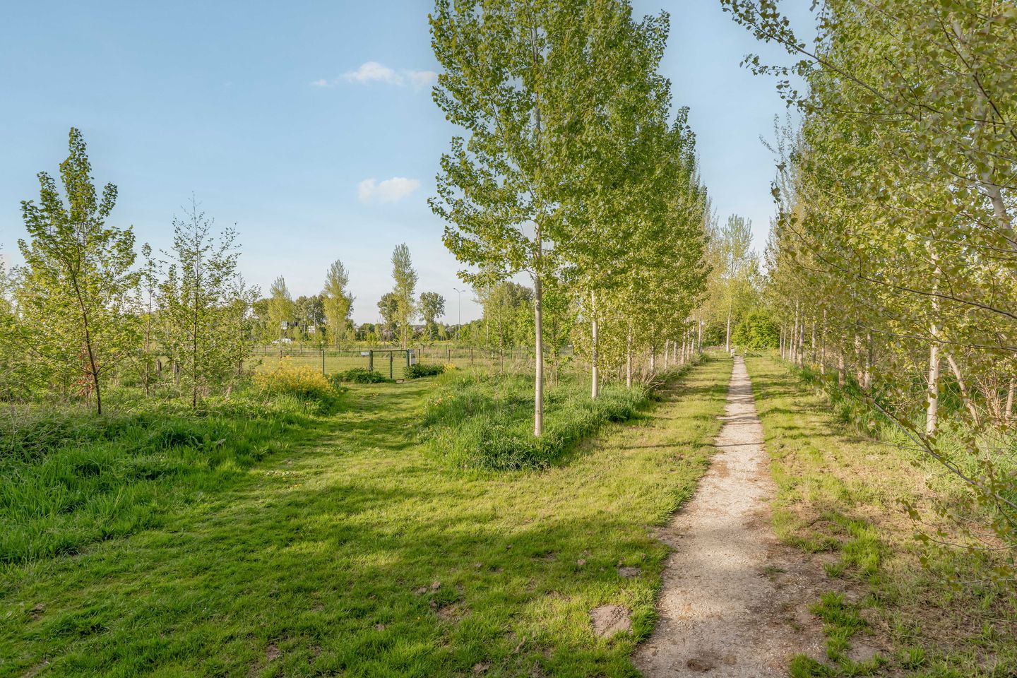 Foto 49 van Carel Willinklaan 24