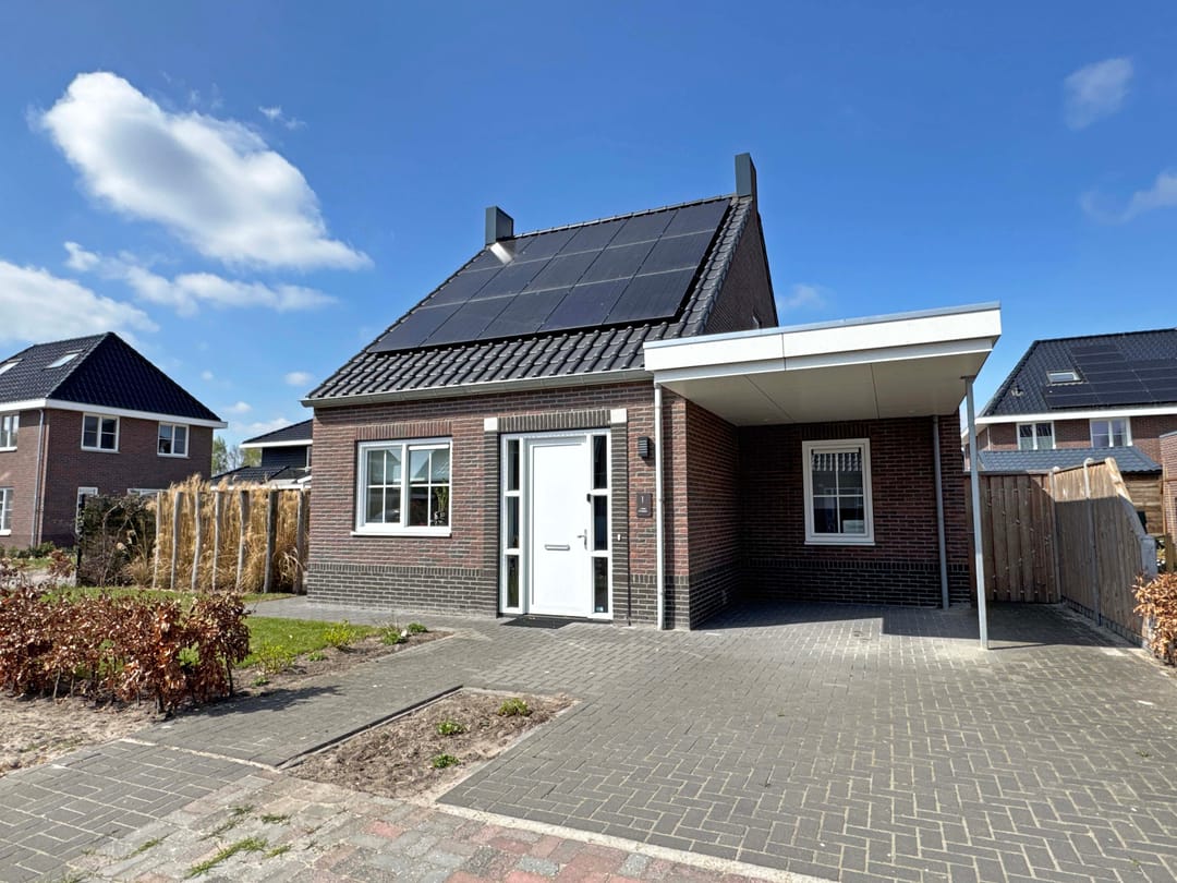 Foto 1 van Moesdistel 1