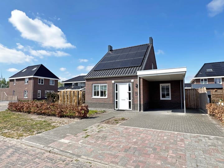 Photo 2 of Moesdistel 1