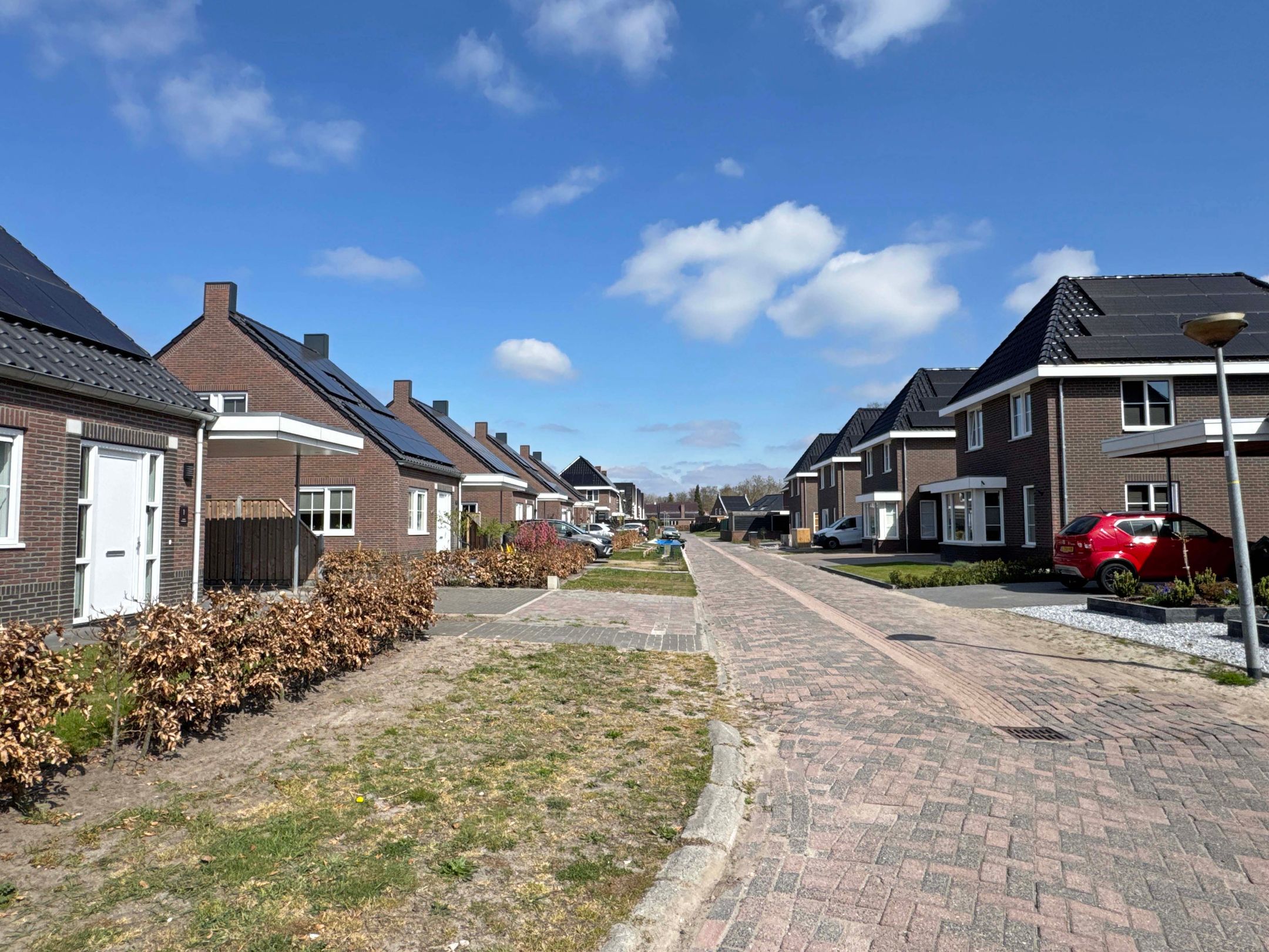 Foto 3 van Moesdistel 1