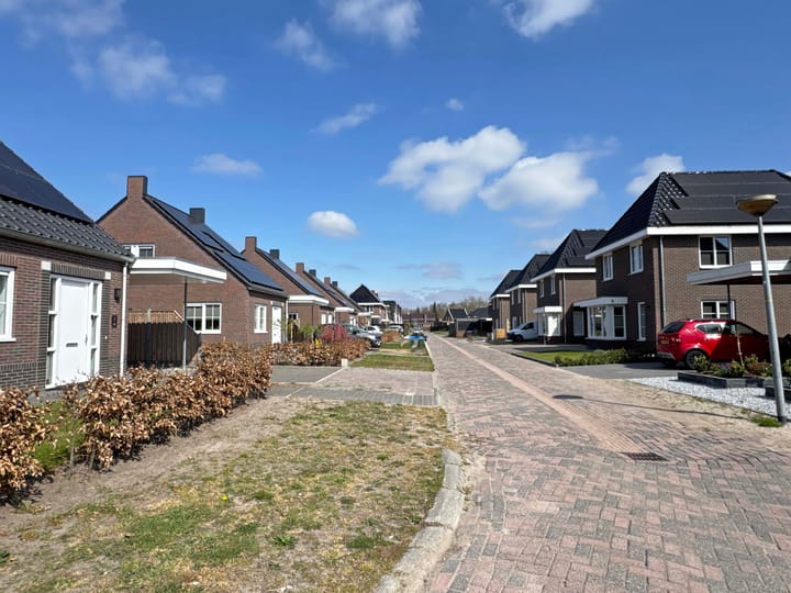 Photo 3 of Moesdistel 1