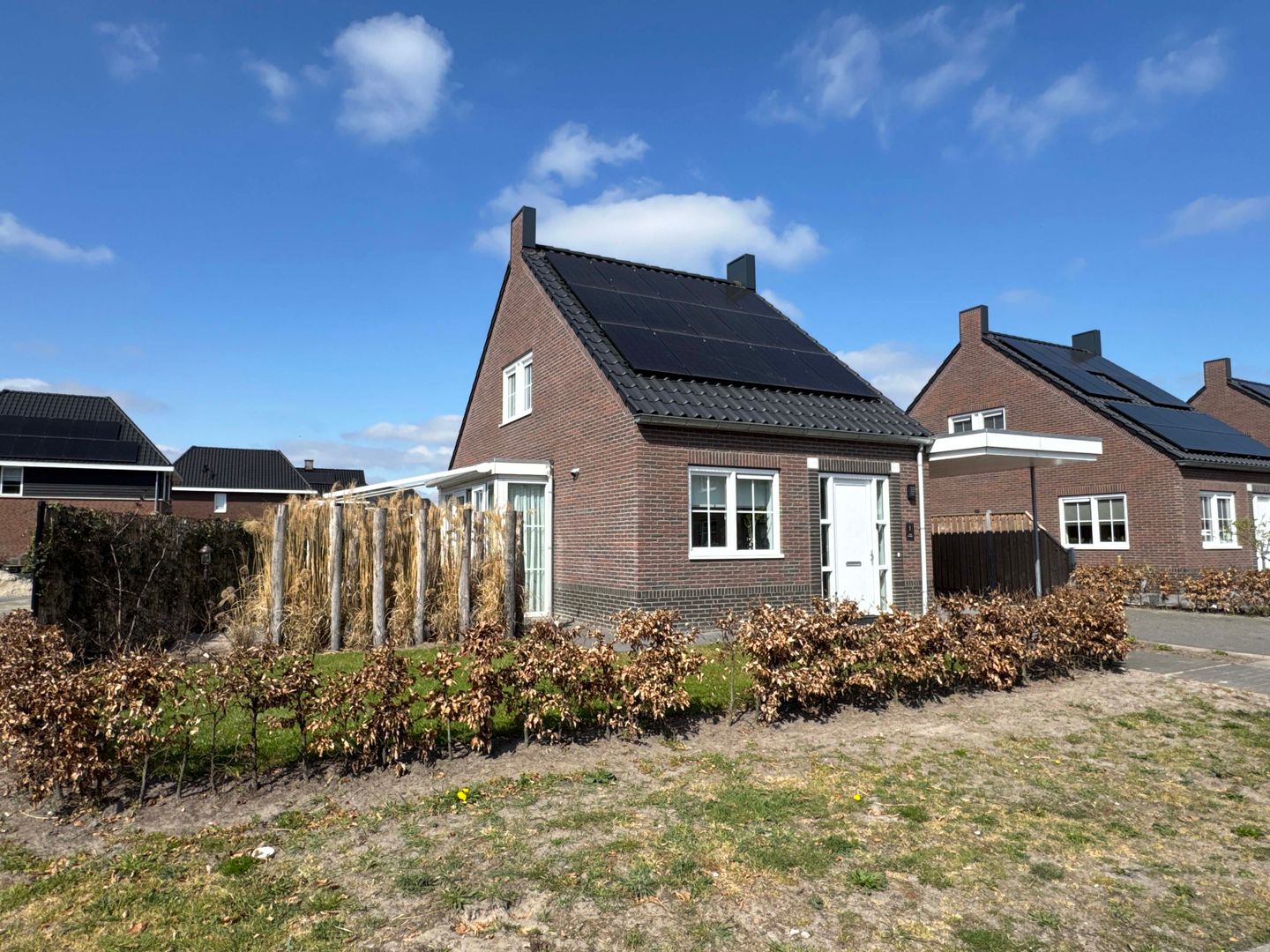 Foto 4 van Moesdistel 1