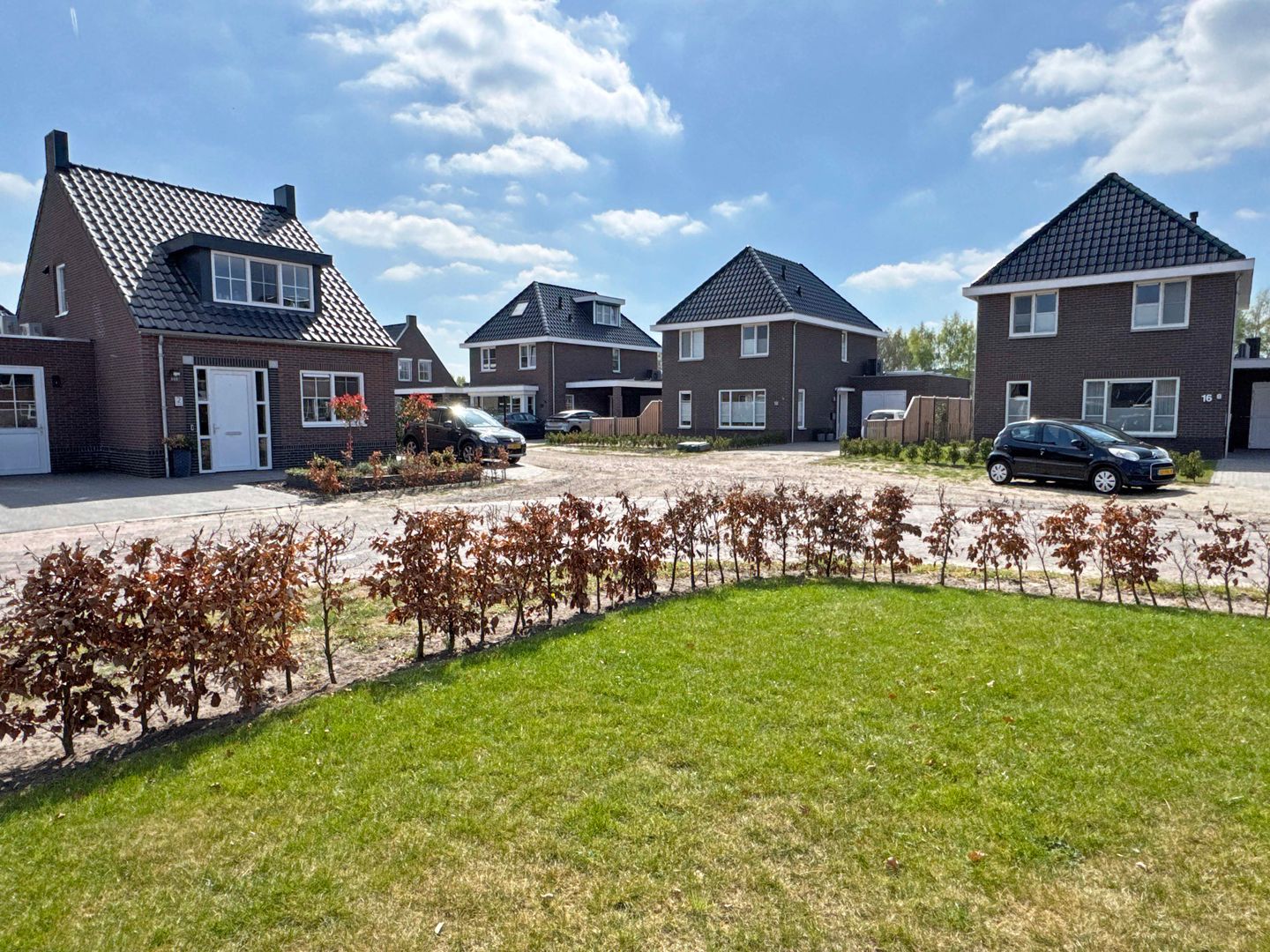 Foto 5 van Moesdistel 1