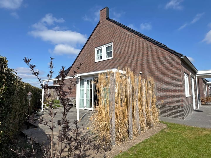 Foto 9 van Moesdistel 1