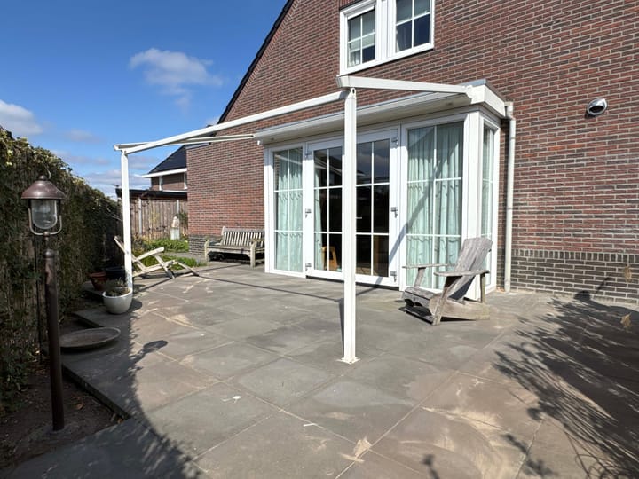 Foto 10 van Moesdistel 1