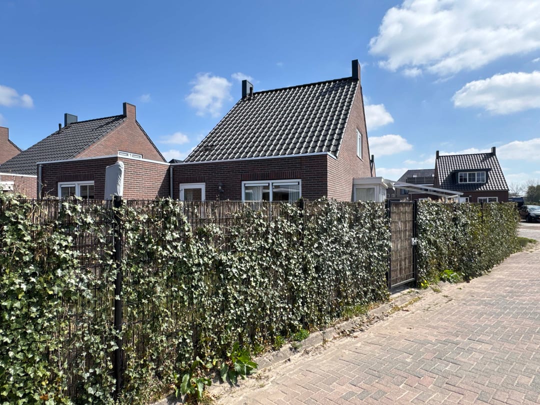 Foto 7 van Moesdistel 1