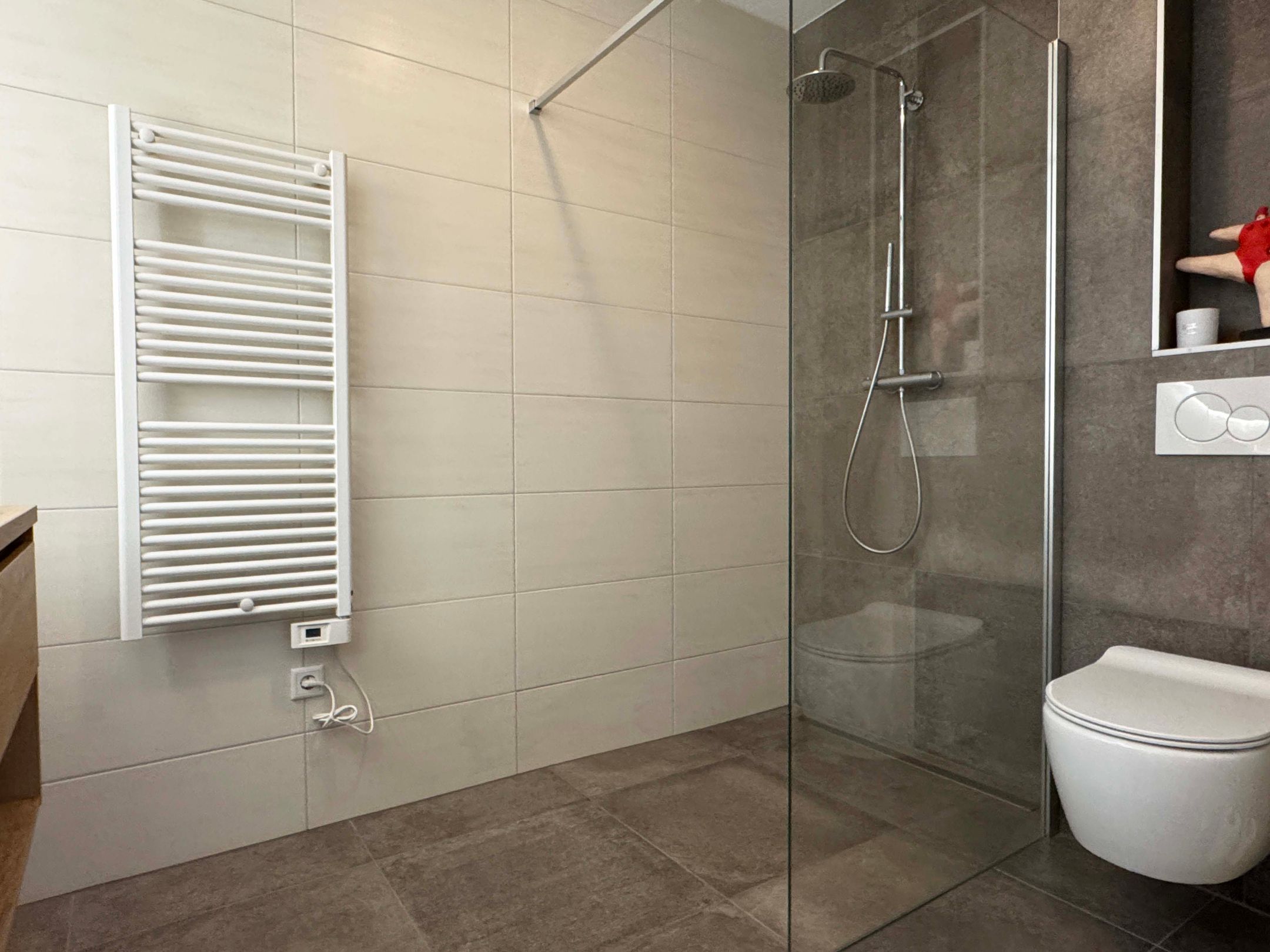 Foto 24 van Moesdistel 1