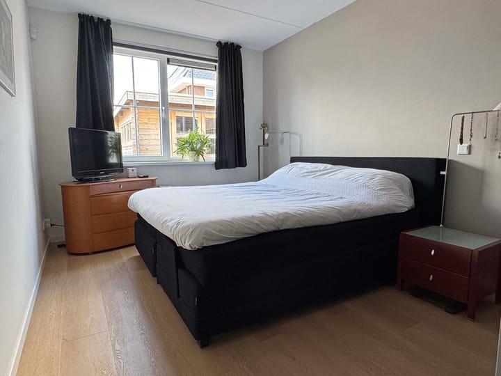 Foto 26 van Moesdistel 1