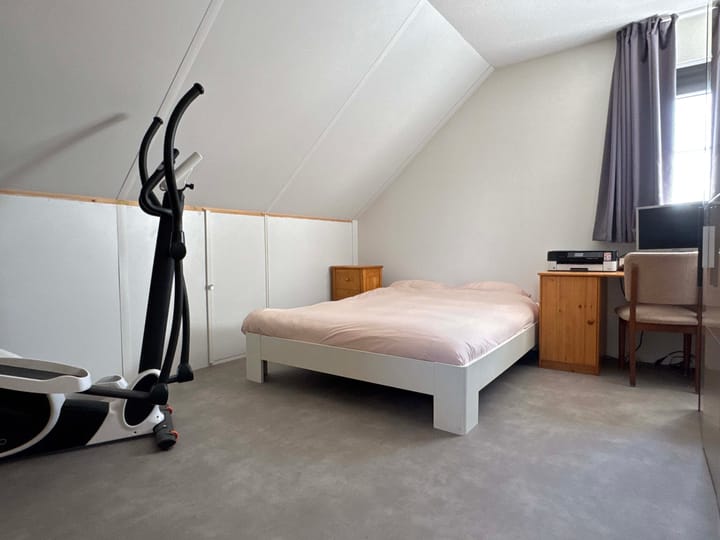 Foto 29 van Moesdistel 1