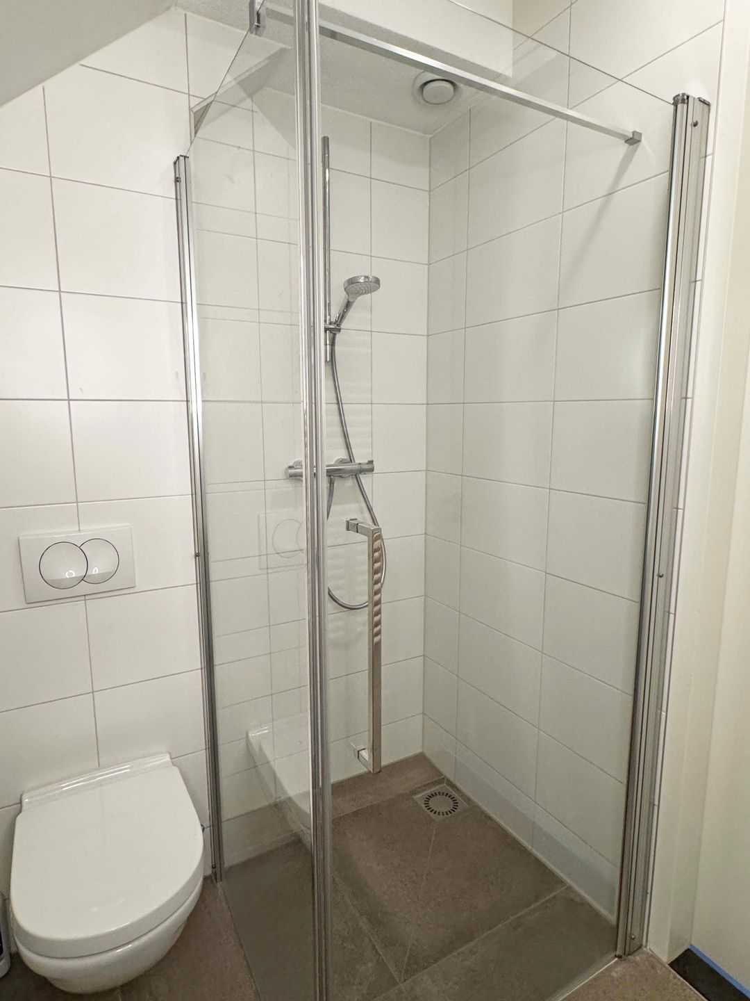 Foto 31 van Moesdistel 1