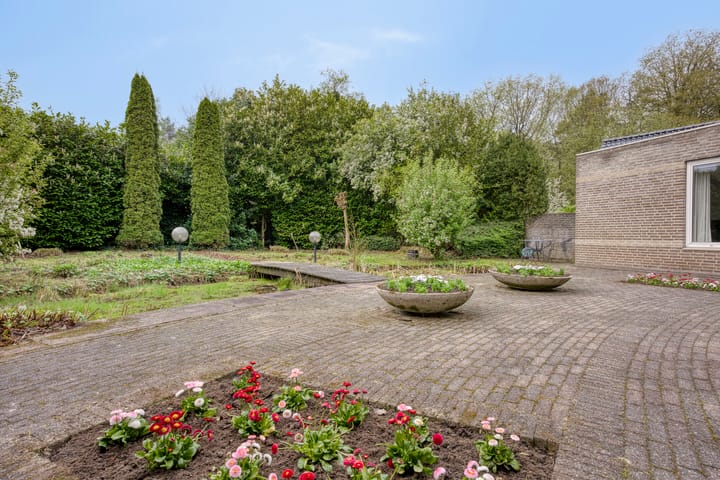 Photo 61 of Etstoel 23