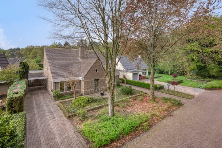 Photo 64 of Etstoel 23