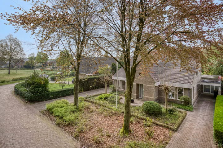 Photo 65 of Etstoel 23