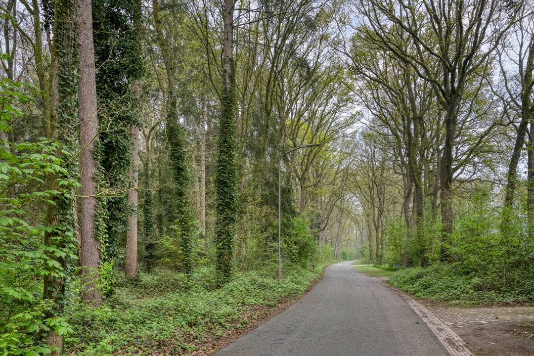 Foto 68 van Etstoel 23