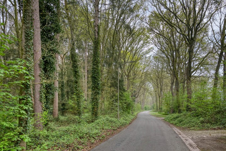 Photo 68 of Etstoel 23