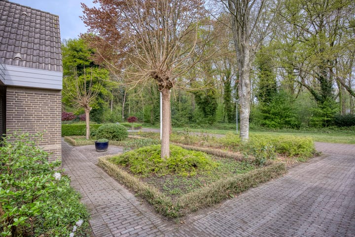 Photo 7 of Etstoel 23