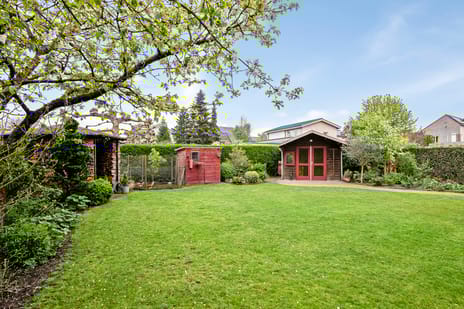 Polderstraat 55 tertiary image