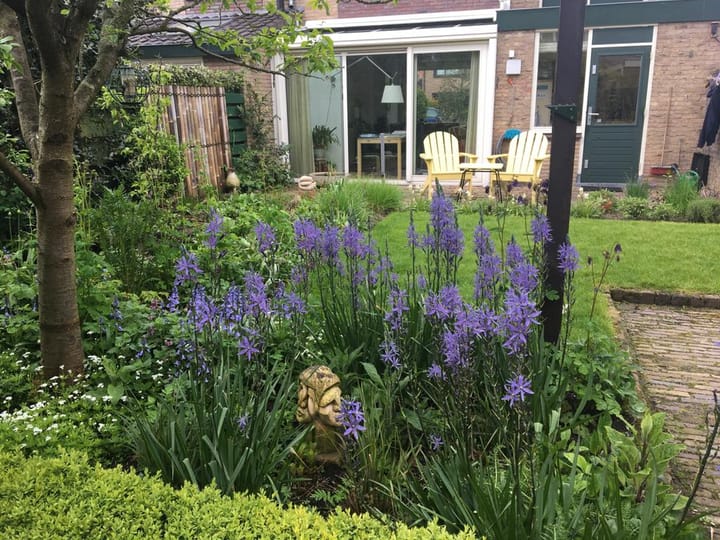 Foto 48 van Van Bergenlaan 17