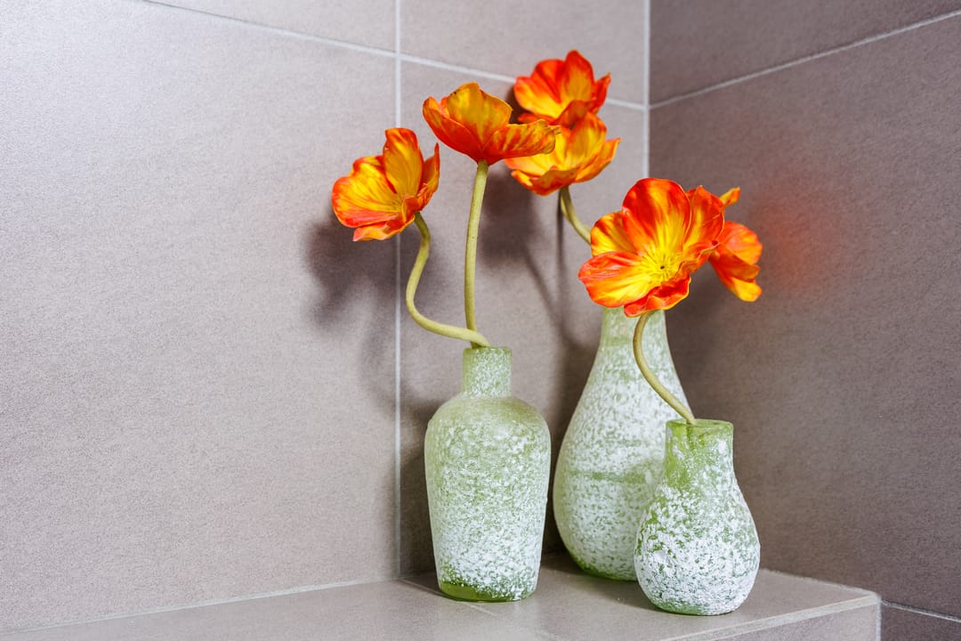 Foto 22 van Nertseweide 2