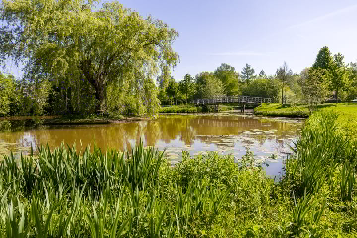 Foto 54 van Nertseweide 2