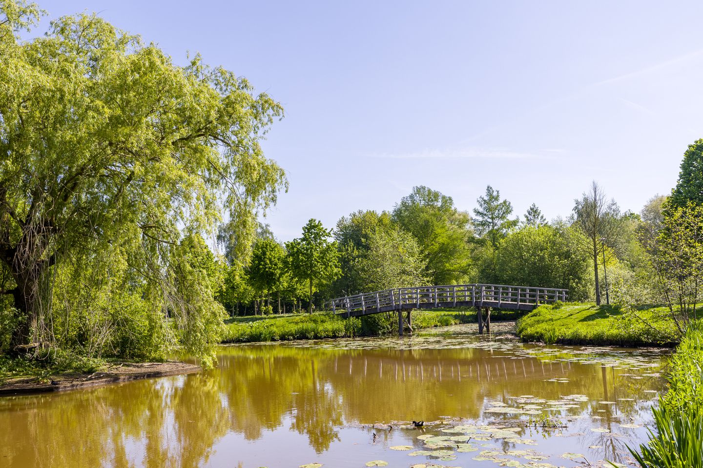 Foto 55 van Nertseweide 2