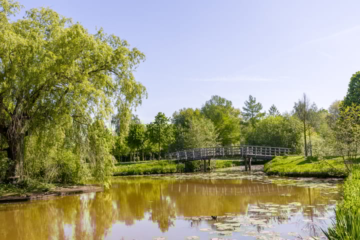 Foto 55 van Nertseweide 2