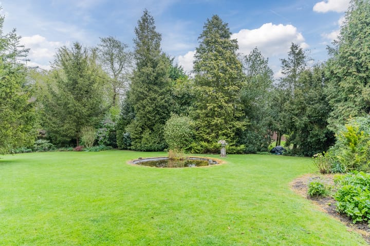 Foto 13 van Minkeloos 55