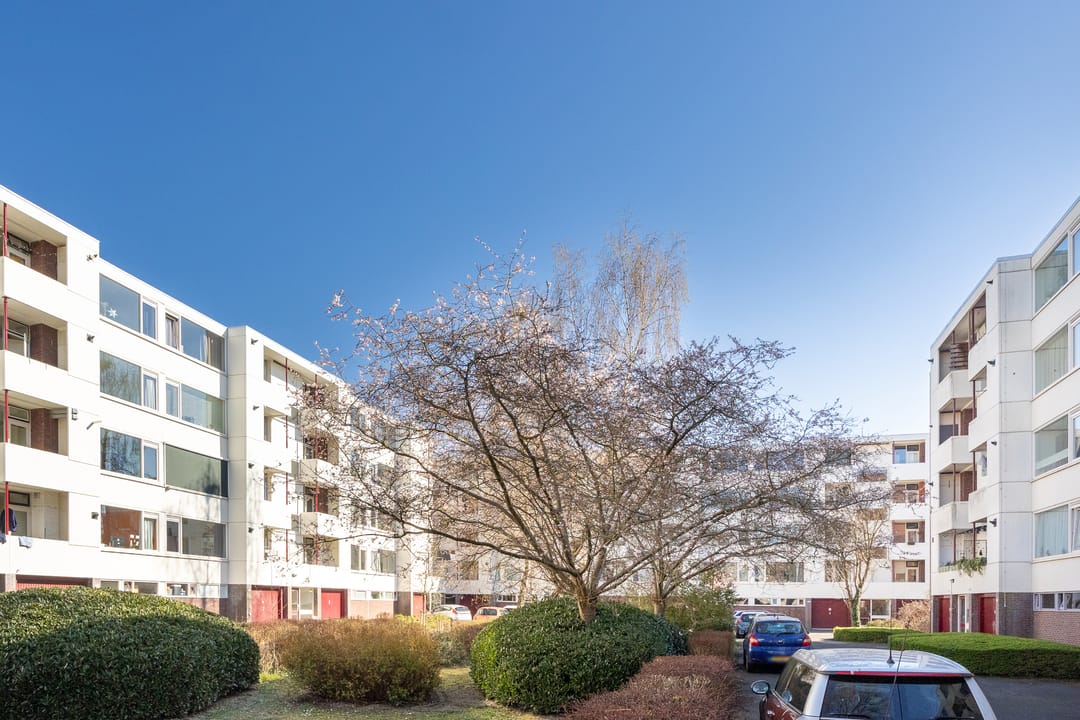 Foto 28 van Van Eysingalaan 183