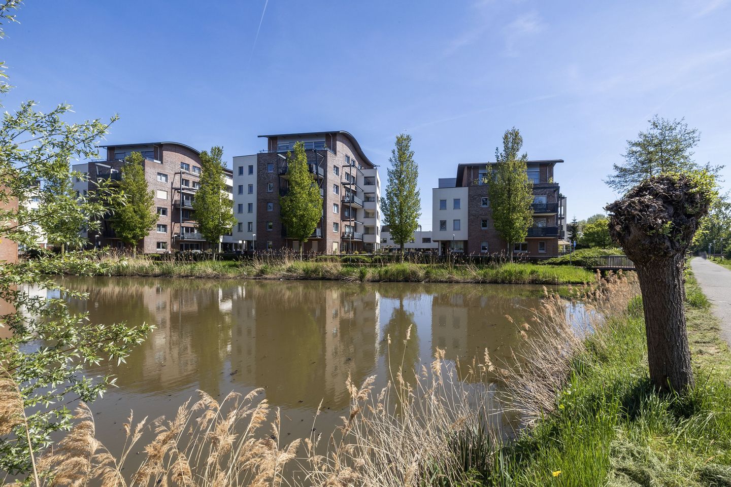 Photo 34 of Lobeliuslaan 18