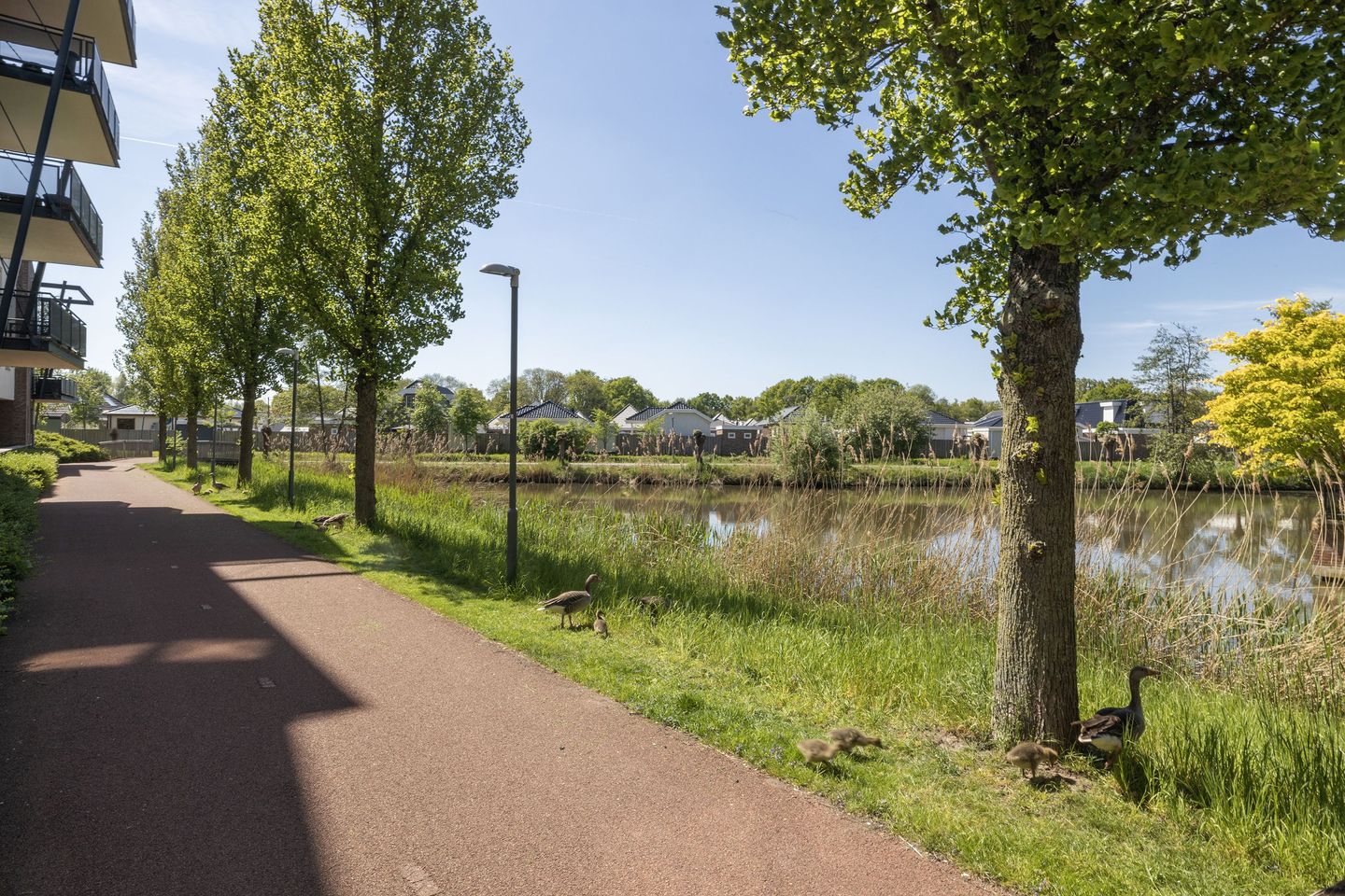 Photo 35 of Lobeliuslaan 18