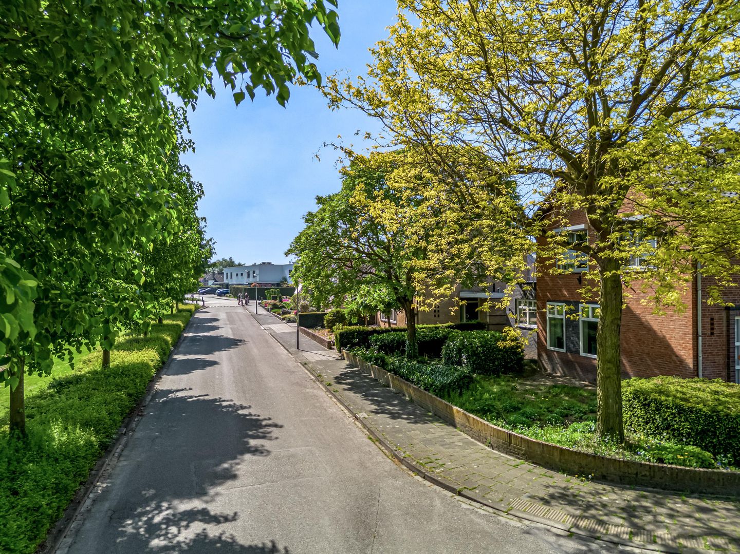 Photo 55 of Schinderspark 5