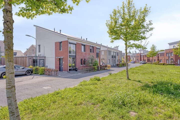 Foto 2 van Havikskruid 26