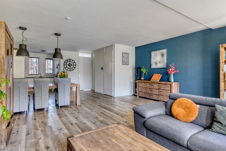 Foto 9 van Havikskruid 26