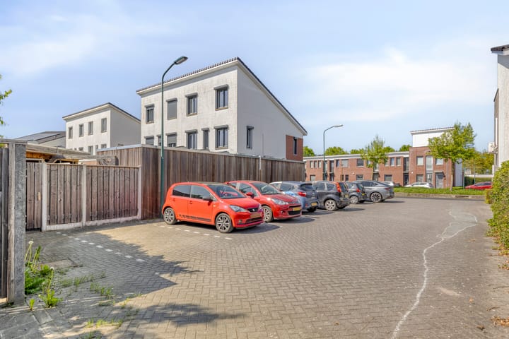 Foto 38 van Havikskruid 26