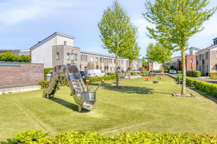 Foto 39 van Havikskruid 26