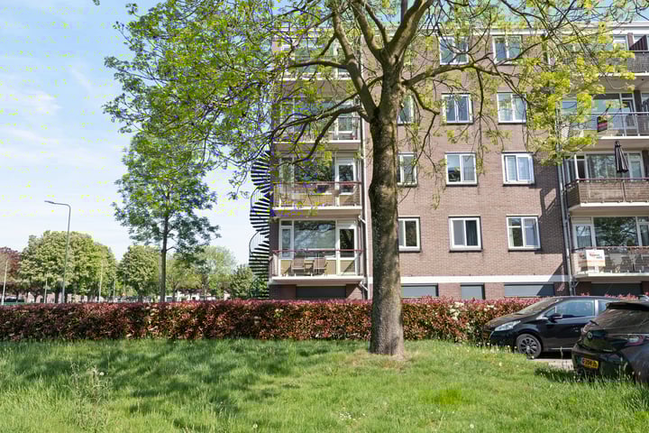 Maassingel 134