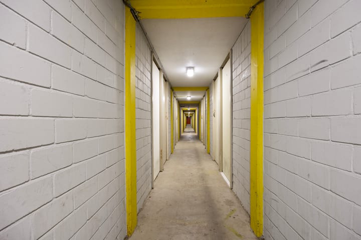 Foto 18 van Maassingel 134